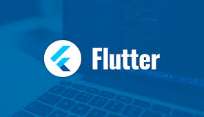 img_Flutter_1